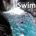 5 Swim wilson + i site